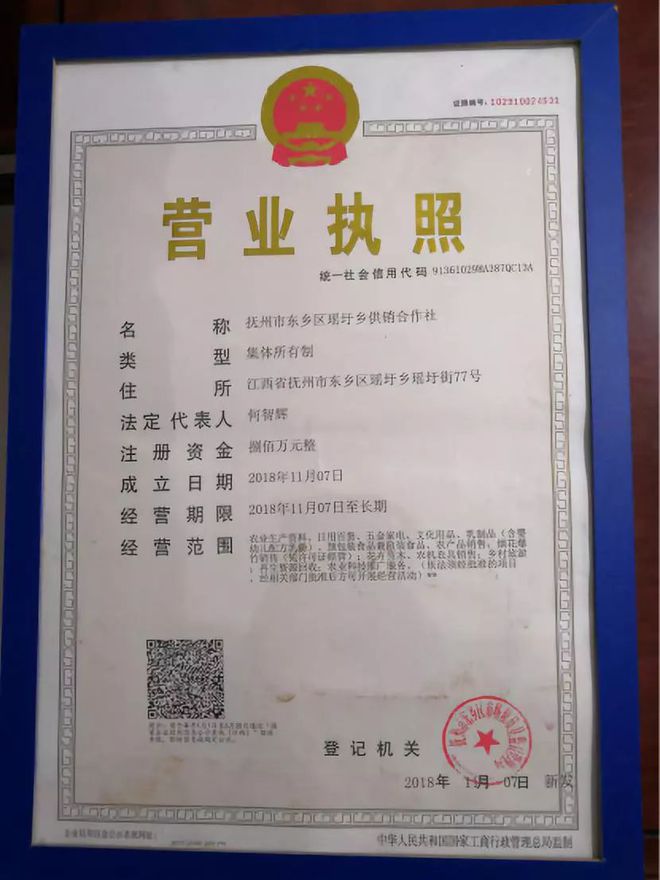 多元經(jīng)營 現(xiàn)代零售業(yè)務(wù)的擴(kuò)展與整合